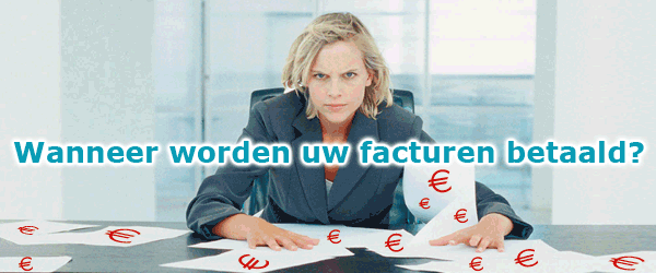 Boekhoudsoftware